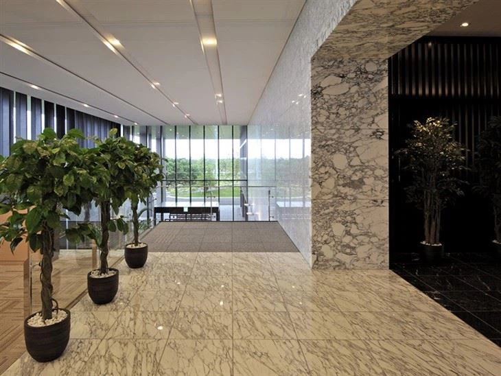 Marble Arabescato