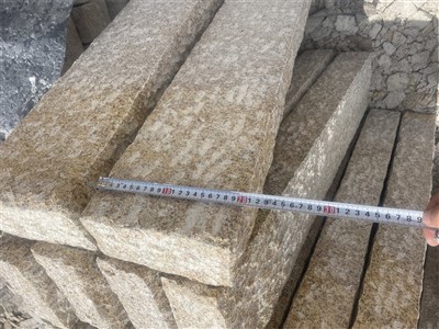 Granit Palisaden 100x25x8