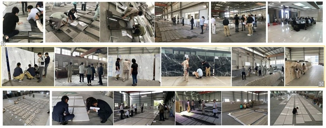 zhenhao team inspection zhenhao team inspection